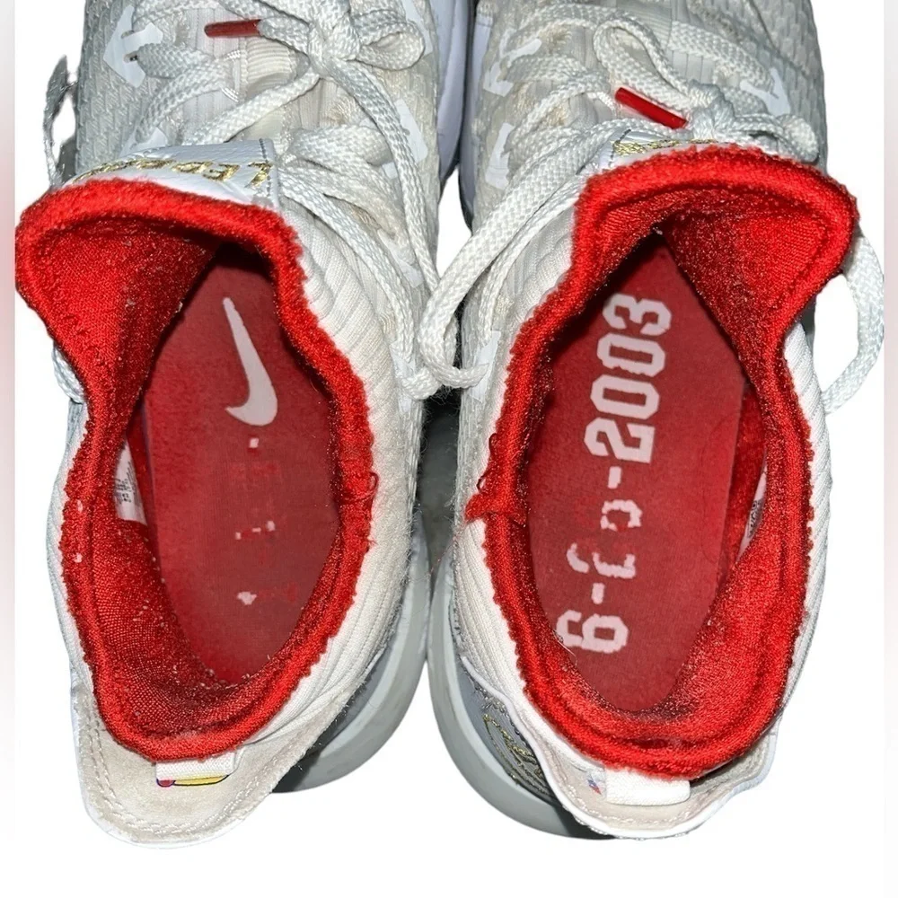 Nike LeBron 16 is part of the Nike LeBron sneakers released 2019 - Picture 7 of 10